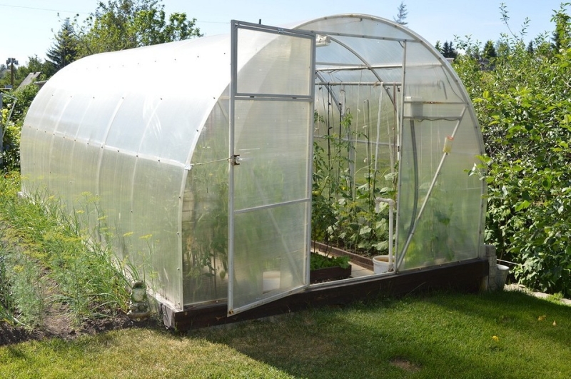 Какой поликарбонат выбрать для теплицы: критерии выбора и полезные советы