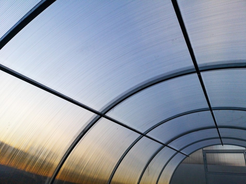 Какой поликарбонат выбрать для теплицы: критерии выбора и полезные советы