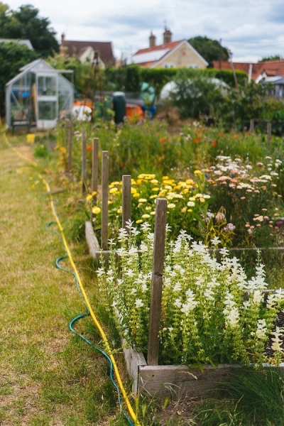 Налог на бани, сараи и теплицы в 2025 году: кто и сколько должен платить