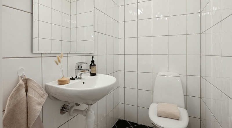 Запах канализации в туалете: 3 причины появления и эффективные способы борьбы с ним