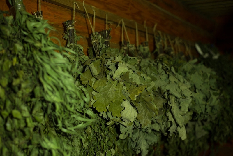 Как хранить веники для бани: подготовка и подходящие условия