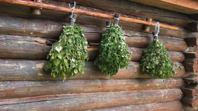 Как хранить веники для бани: подготовка и подходящие условия