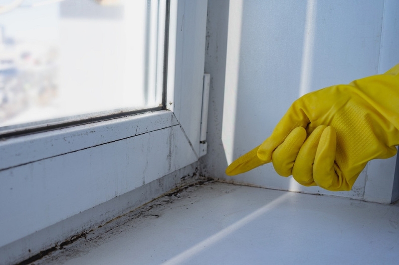 Как покрасить пластиковые окна: советы по выбору краски и пошаговая инструкция