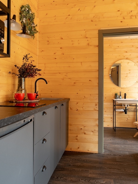 Электрическая плита или газовая: что выбрать для квартиры или дома