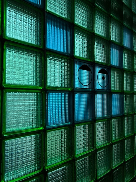 Стеклоблоки в интерьере: плюсы и минусы, варианты применения (93 фото)