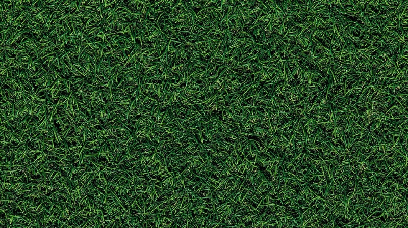 Как выбрать газонокосилку для дачи: 8 самых важных характеристик